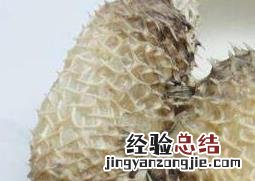 刺龟皮哪些人不适合吃 刺龟皮什么人不能吃