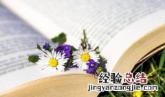 翻身的意思解释 翻身的意思