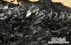 紫菜怎么吃减肥最有效 紫菜怎么吃减肥