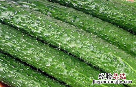 生吃黄瓜能减肥吗 生吃黄瓜能减肥吗女性