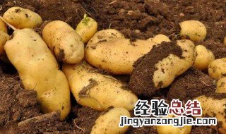 土豆是酸性还是碱性的 土豆是酸性吗