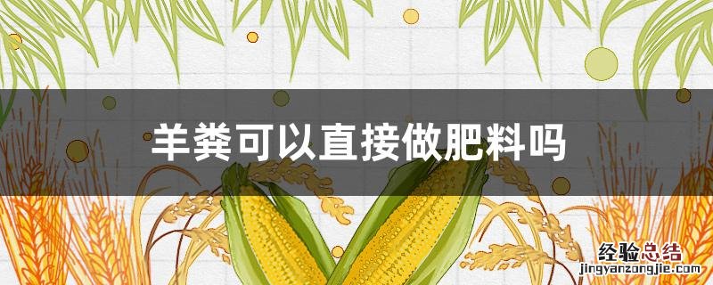羊屎粪便可以做肥料吗 羊粪可以直接做肥料吗