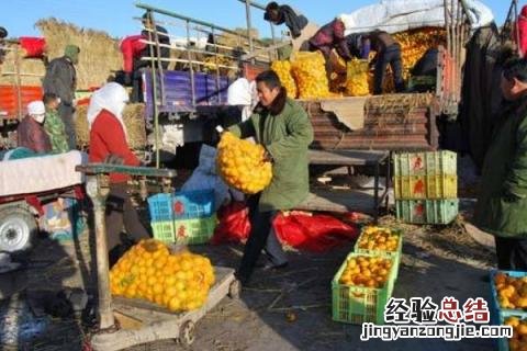 农村致富好项目有哪些，适合在农村消费者还收益可观