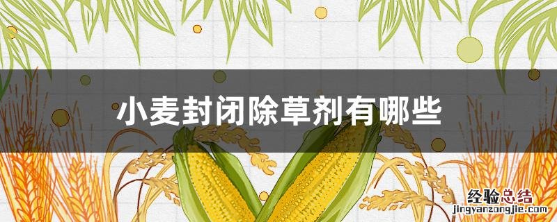 小麦封闭除草剂哪种更安全 小麦封闭除草剂有哪些