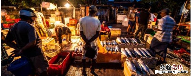 在农村怎样富起来,需结合所在地的优势选择项目