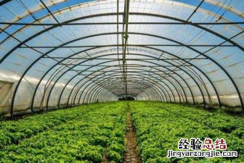 适宜在农村创业的项目，需结合当地自然条件