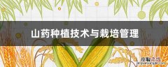 山药种植技术与栽培管理 铁棍山药种植技术与栽培管理