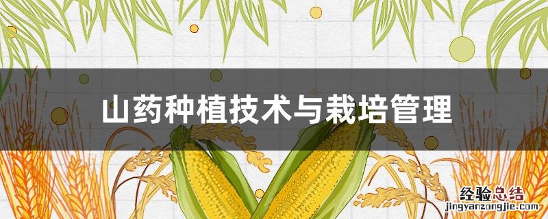山药种植技术与栽培管理 铁棍山药种植技术与栽培管理