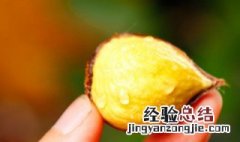 板栗大概要蒸多久才熟 板栗要蒸多久才熟