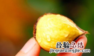 板栗大概要蒸多久才熟 板栗要蒸多久才熟