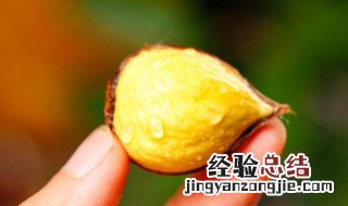冷了的糖炒栗子怎么热 糖炒栗子凉了如何加热