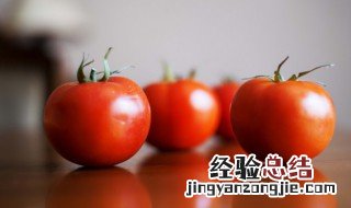 西红柿小白菜豆腐汤怎么做 西红柿小白菜豆腐汤的烹饪方法