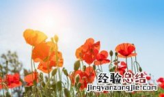情感哲理长句子 关于情感哲理的句子精选