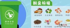果核是厨余垃圾吗? 水果核是厨余垃圾吗