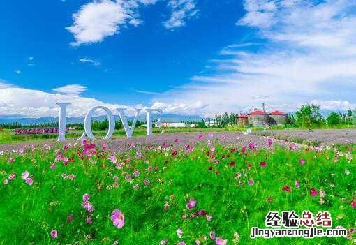 新疆家庭农场注册条件有哪些种类 新疆家庭农场注册条件有哪些