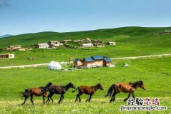 新疆家庭农场注册条件有哪些种类 新疆家庭农场注册条件有哪些