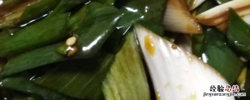 葱叶可以做什么吃的 葱叶可以做什么美食