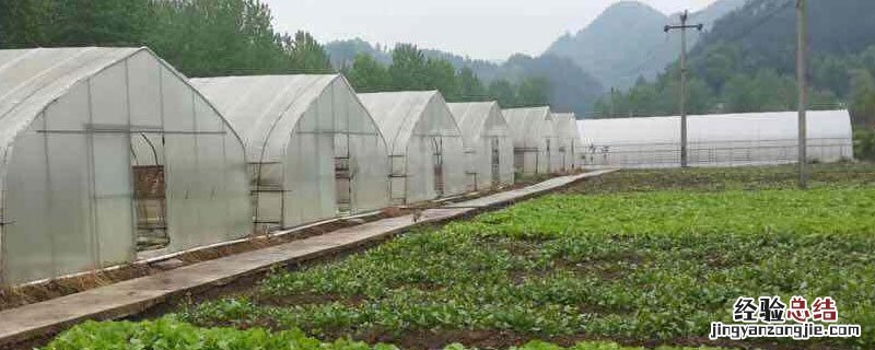 花卉大棚怎么做的 种植大棚怎么做