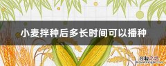 小麦拌种后多长时间可以播种 小麦拌种后能放多久