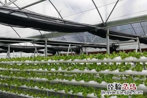 农村小生意做什么好呢，根据实际情况选择合适的项目