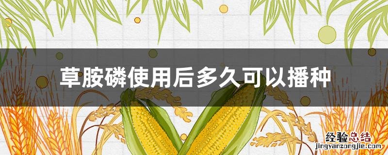 草胺磷使用后多久可以播种 草铵膦喷施后几天可种瓜苗