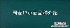 周麦27小麦品种介绍 周麦17小麦品种介绍