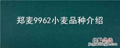 郑麦9962小麦品种介绍 郑麦6694小麦品种介绍