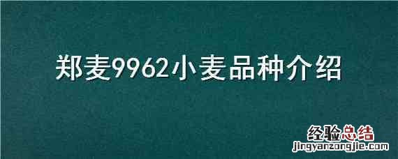 郑麦9962小麦品种介绍 郑麦6694小麦品种介绍