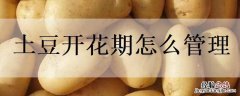 土豆开花期怎么管理好 土豆开花期怎么管理