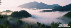 桐柏山是哪个省哪个市的 桐柏山区是哪个省