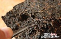 怎么喝普洱茶能减肥吗 喝普洱茶能减肥吗