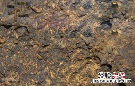 怎么喝普洱茶能减肥吗 喝普洱茶能减肥吗
