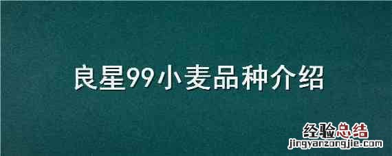 良星99小麦品种介绍 良星99小麦种子怎么样
