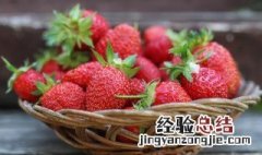 草莓吃多了对身体有害吗 草莓吃多了对身体有什么影响