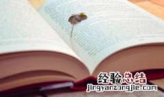 神丹是词语吗 神丹是什么意思