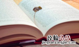 神丹是词语吗 神丹是什么意思