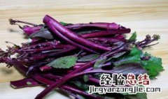 红菜苔的做法 辣白菜的做法