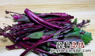 红菜苔的做法 辣白菜的做法