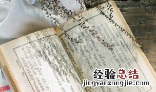燕燕于飞差池其羽什么意思 “燕燕于飞,差池其羽”