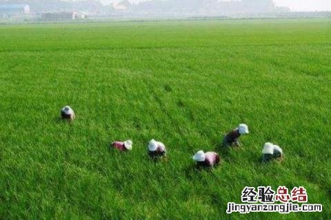 致富小项目大全,找准项目是关键 寻求致富好项目