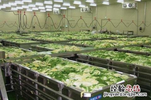 小型加工创业项目，既受欢迎又前景广