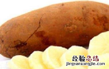 雪莲果的作用与功效及禁忌是什么 雪莲果的作用与功效及禁忌