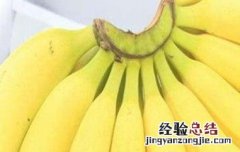 野蕉和香蕉有什么区别 野蕉和香蕉有什么区别吗