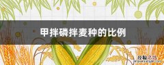 甲拌磷拌麦种的比例 甲拌磷能拌麦种吗