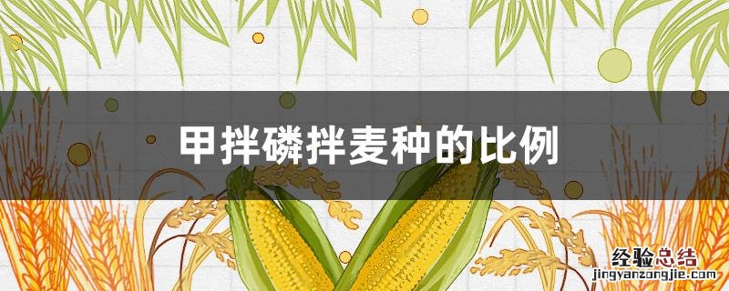 甲拌磷拌麦种的比例 甲拌磷能拌麦种吗