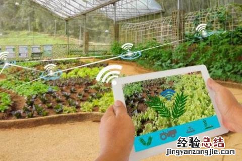 农村在家做什么能挣到钱,并能促进农村经济发展