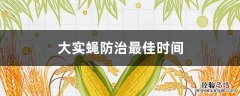 防治大实蝇的最好时间 大实蝇防治最佳时间