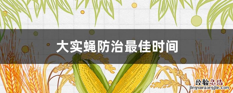 防治大实蝇的最好时间 大实蝇防治最佳时间