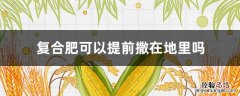 复合肥可以提前撒在地里吗 复合肥可以提前撒到土地里吗