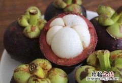 山竹新鲜和不新鲜 山竹怎么区分新鲜不新鲜